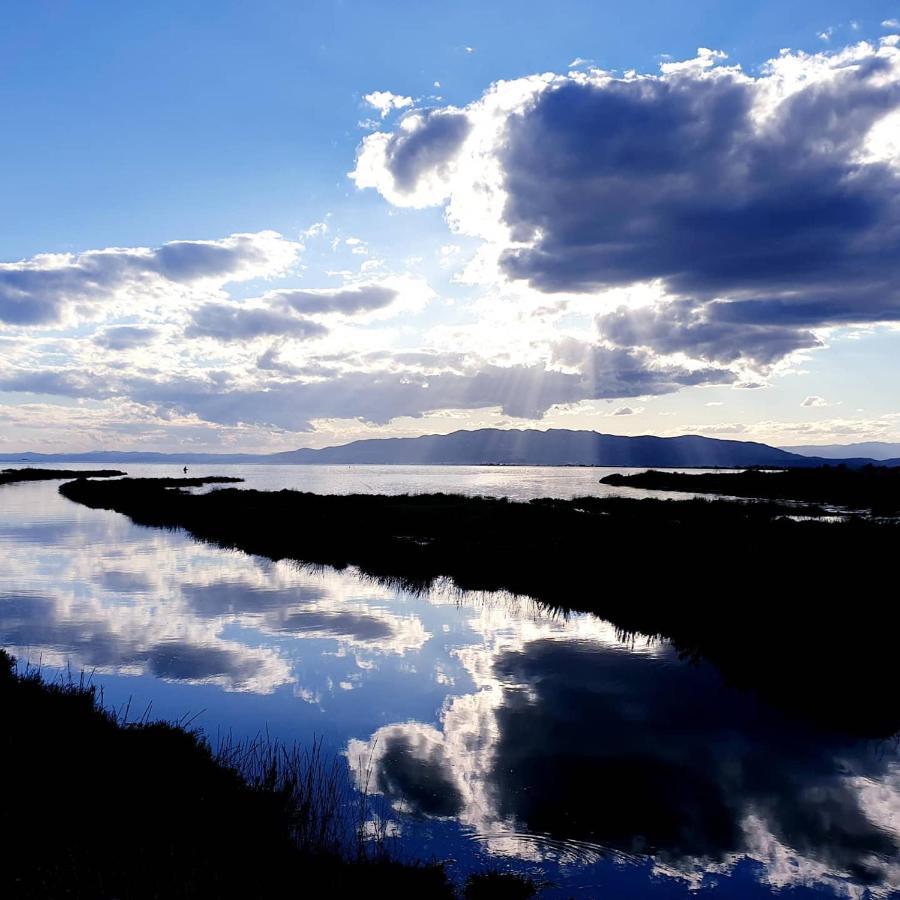 La Finestra Del Delta Konuk evi L'Ampolla Dış mekan fotoğraf