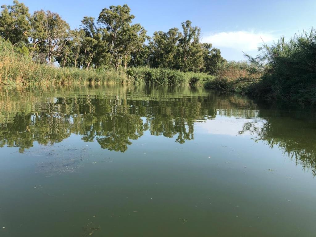 La Finestra Del Delta Konuk evi L'Ampolla Dış mekan fotoğraf