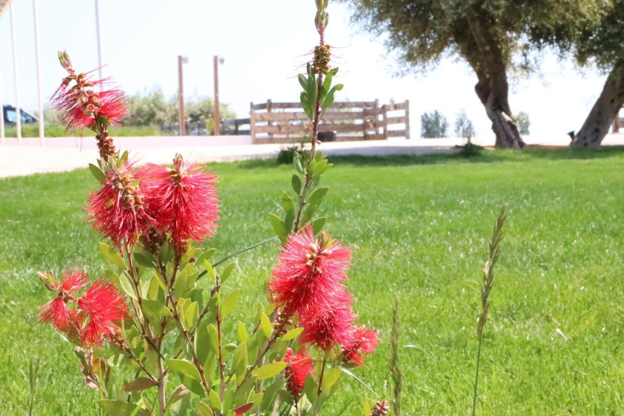 La Finestra Del Delta Konuk evi L'Ampolla Dış mekan fotoğraf