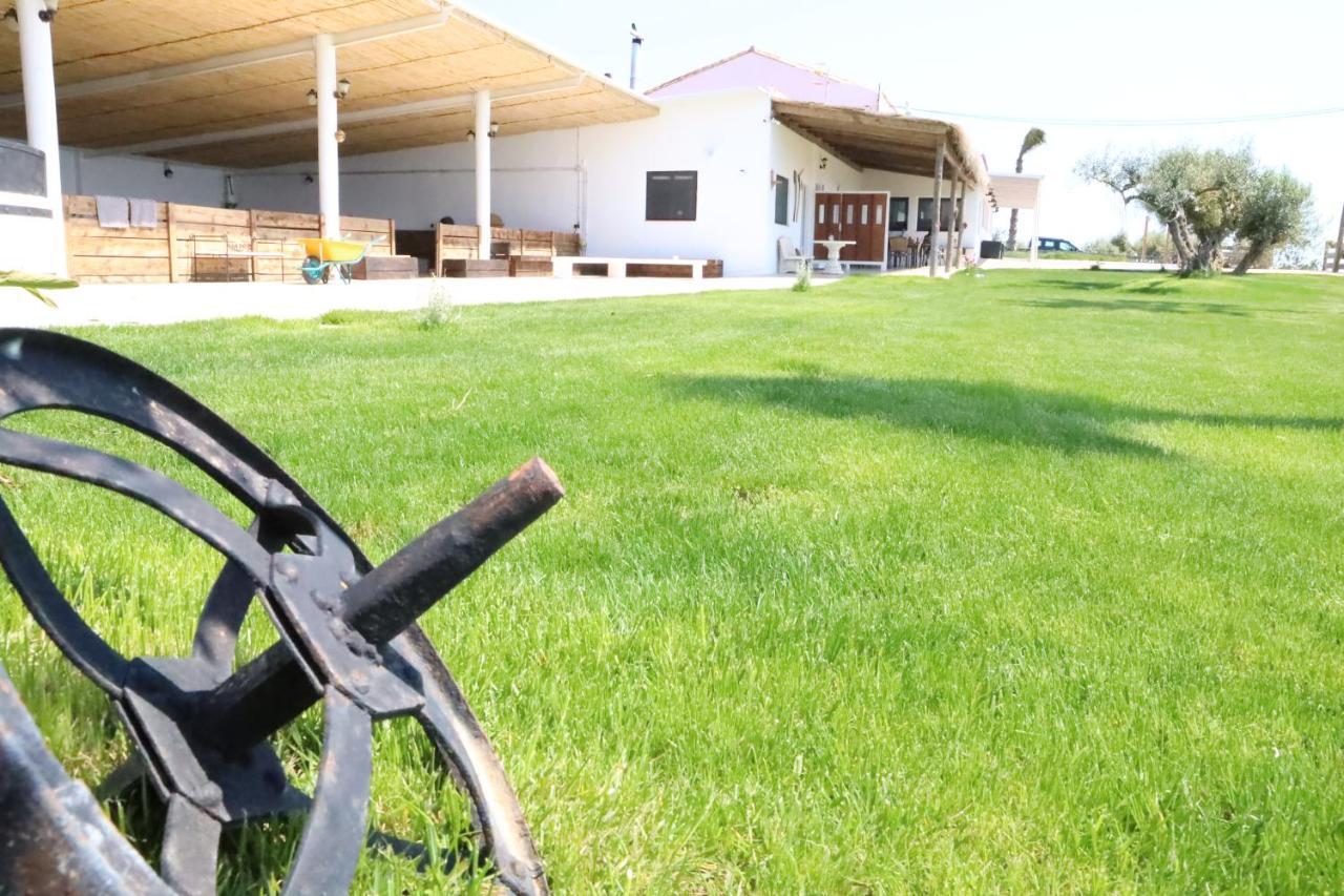 La Finestra Del Delta Konuk evi L'Ampolla Dış mekan fotoğraf